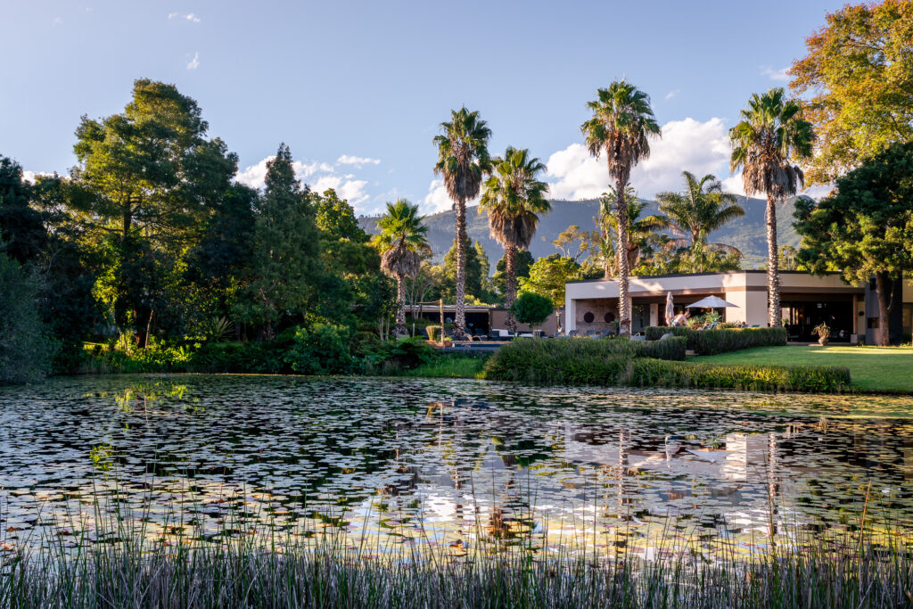 The pond at Lilypond Lodge